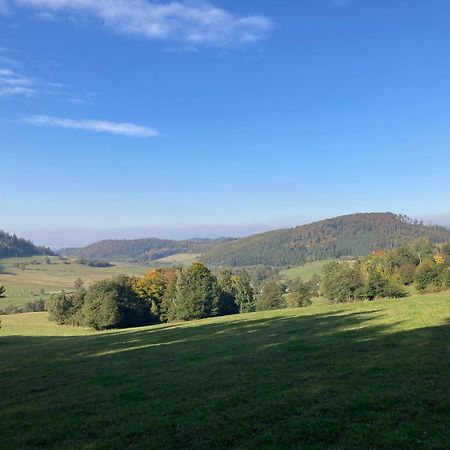 Na Piotrowickiej Przeleczy Villa Bystrzyca Kłodzka Dış mekan fotoğraf