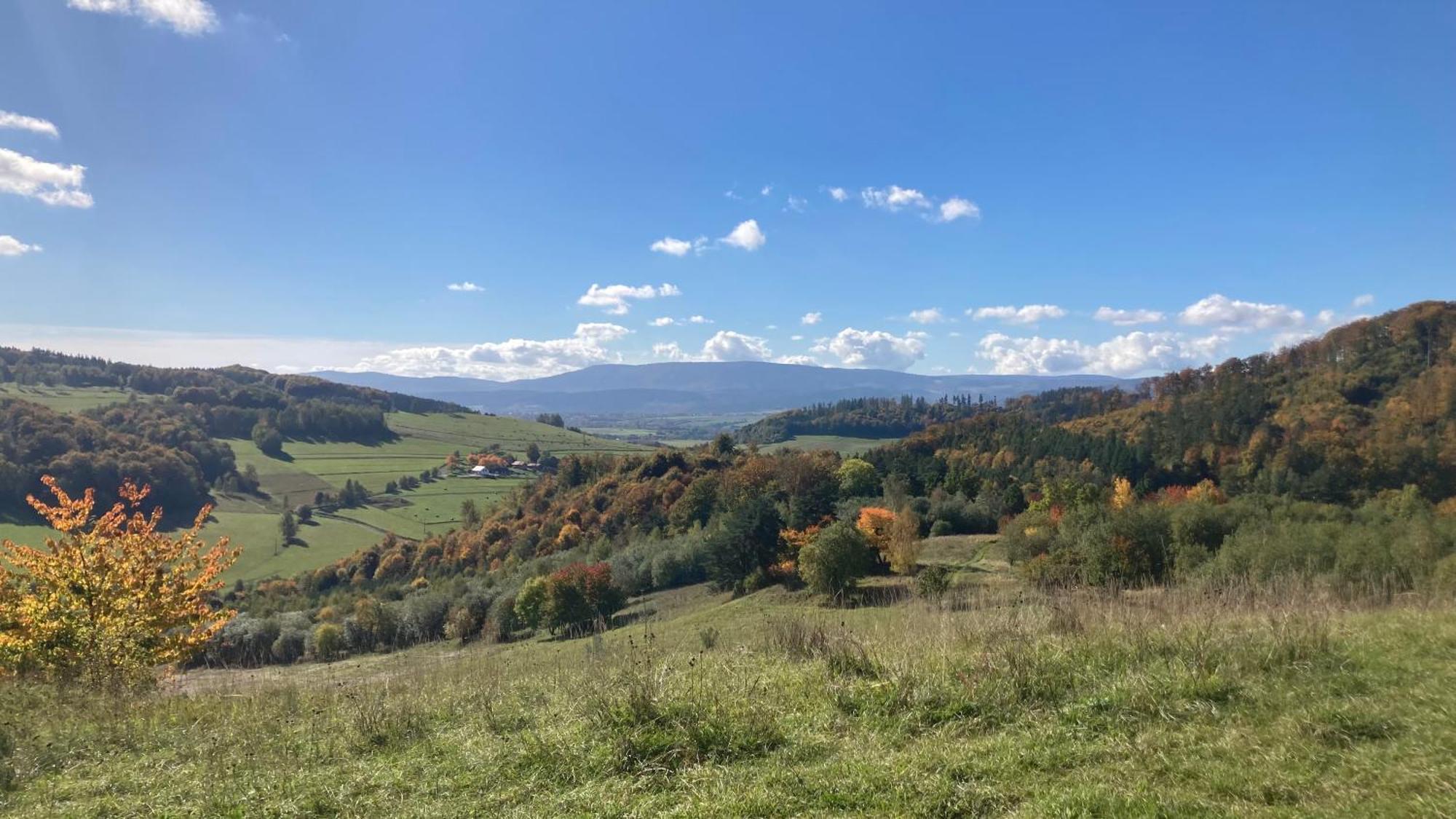 Na Piotrowickiej Przeleczy Villa Bystrzyca Kłodzka Dış mekan fotoğraf