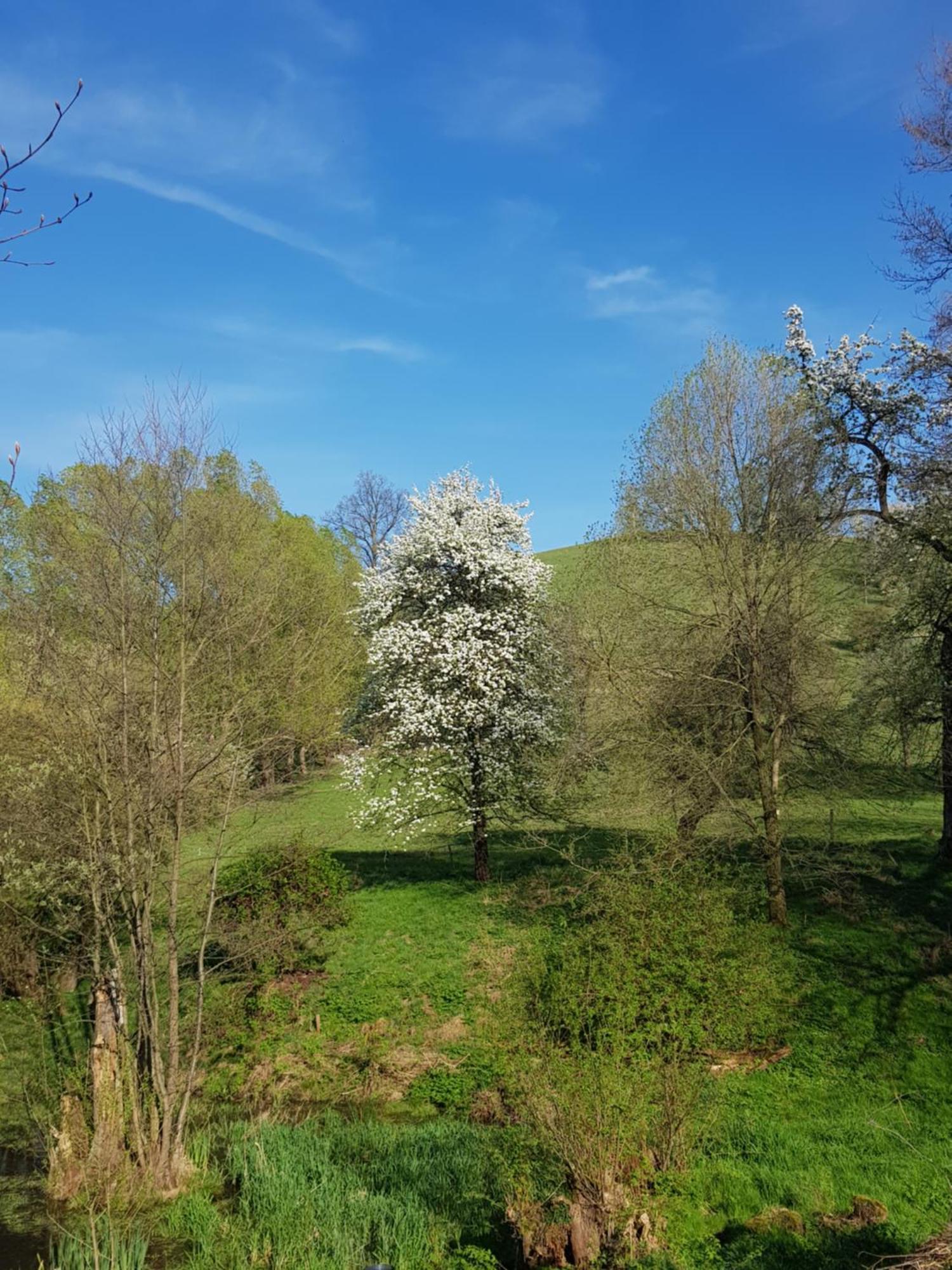 Na Piotrowickiej Przeleczy Villa Bystrzyca Kłodzka Dış mekan fotoğraf