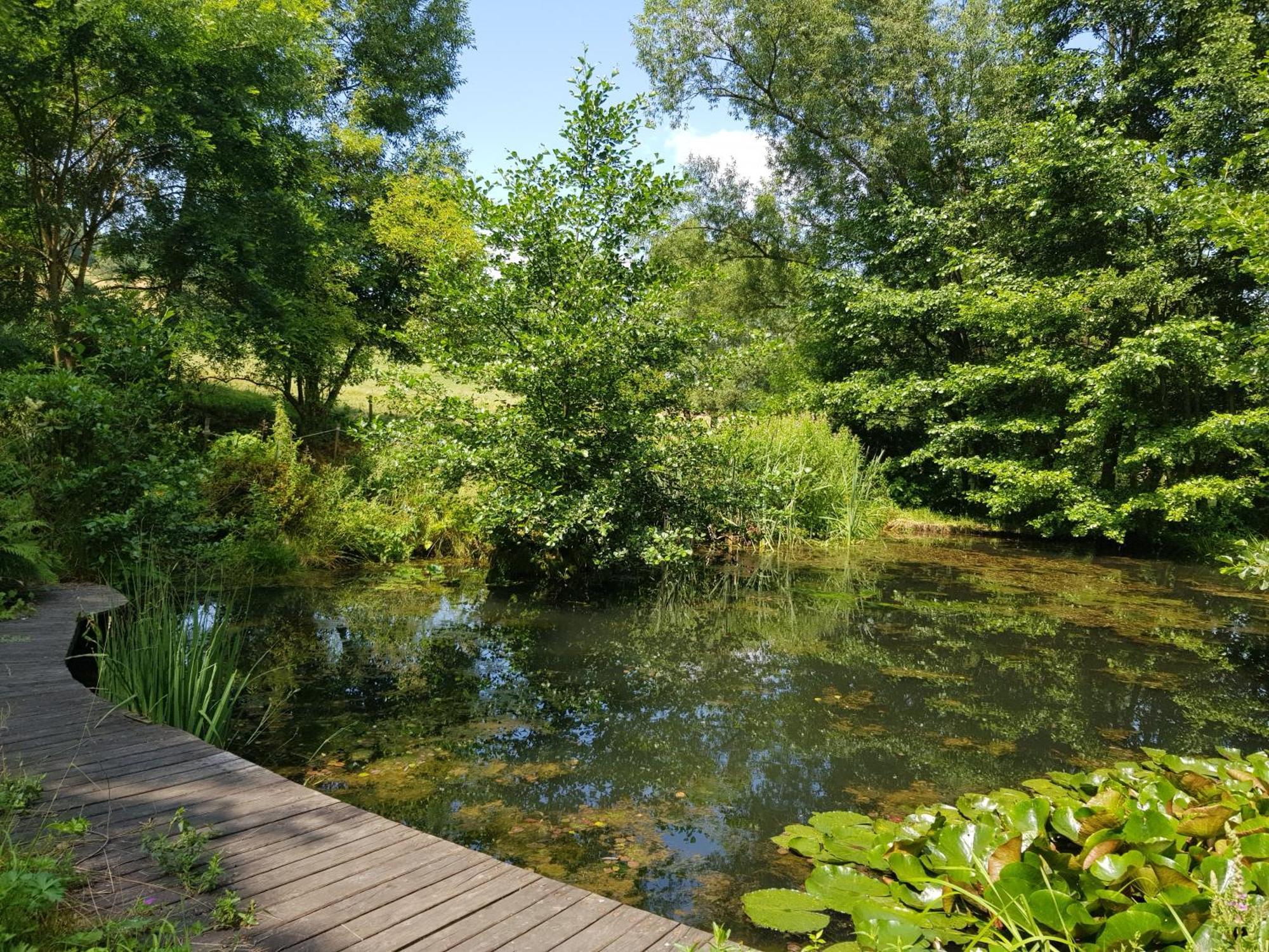 Na Piotrowickiej Przeleczy Villa Bystrzyca Kłodzka Dış mekan fotoğraf