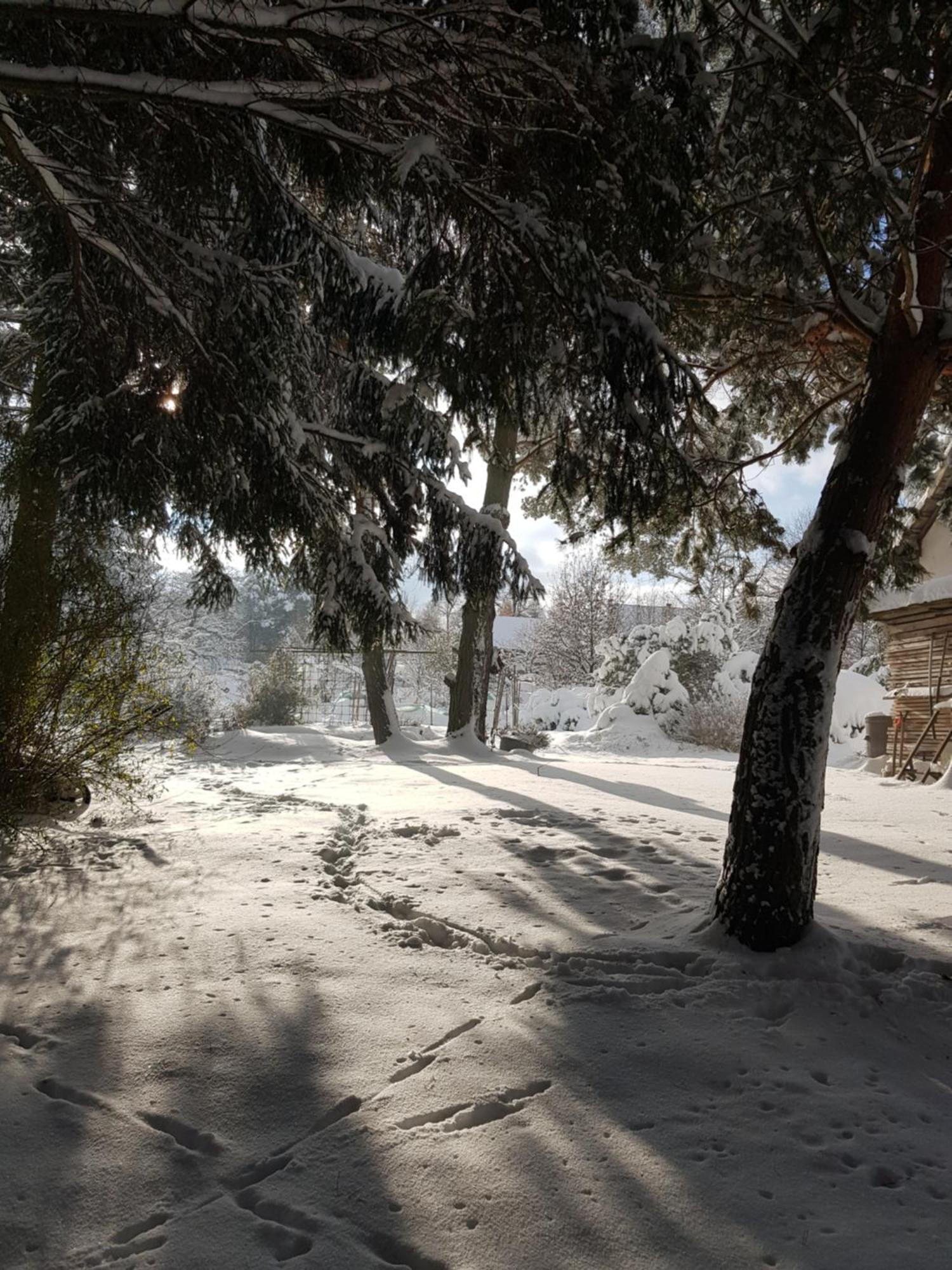 Na Piotrowickiej Przeleczy Villa Bystrzyca Kłodzka Dış mekan fotoğraf