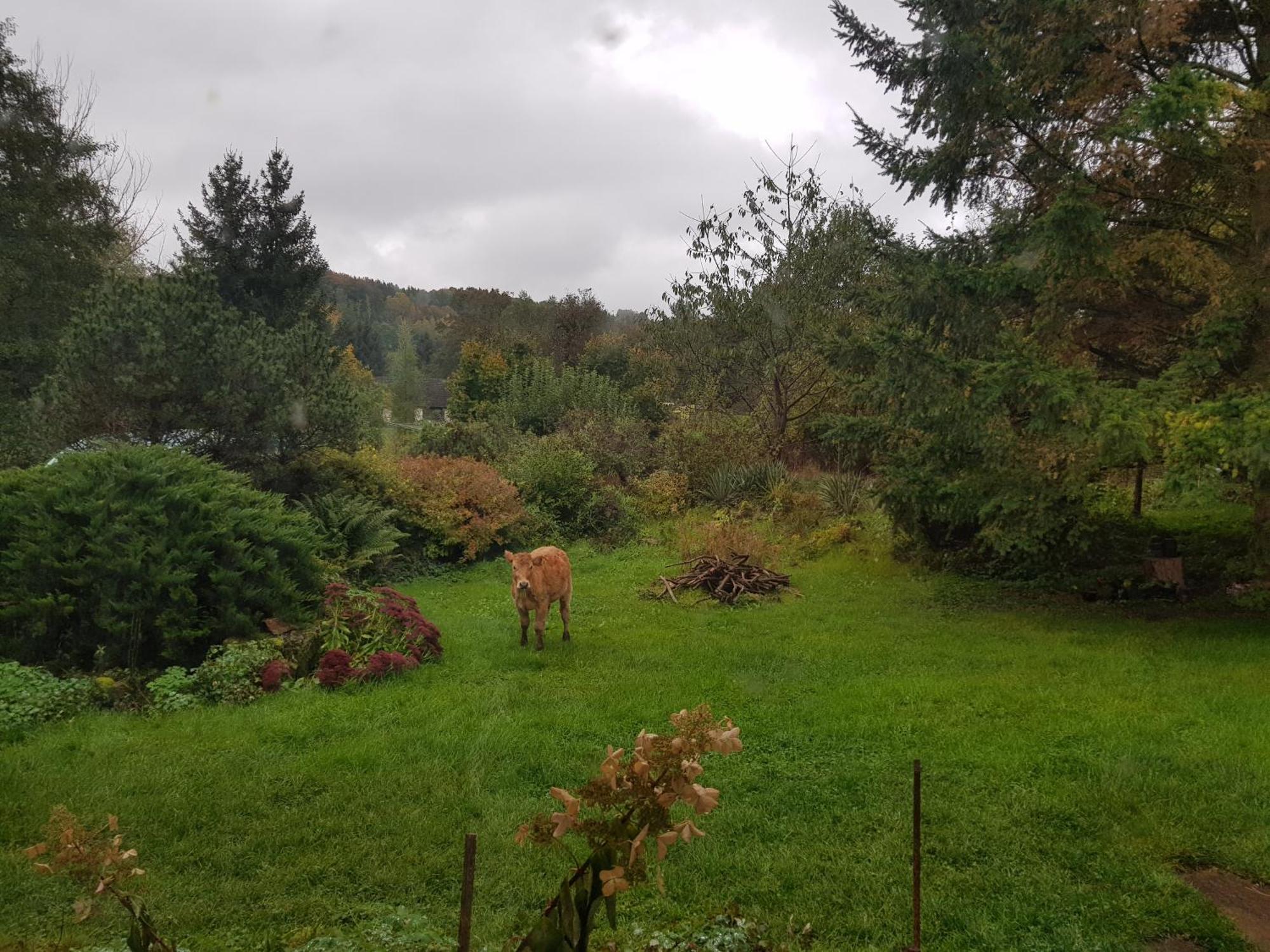 Na Piotrowickiej Przeleczy Villa Bystrzyca Kłodzka Dış mekan fotoğraf