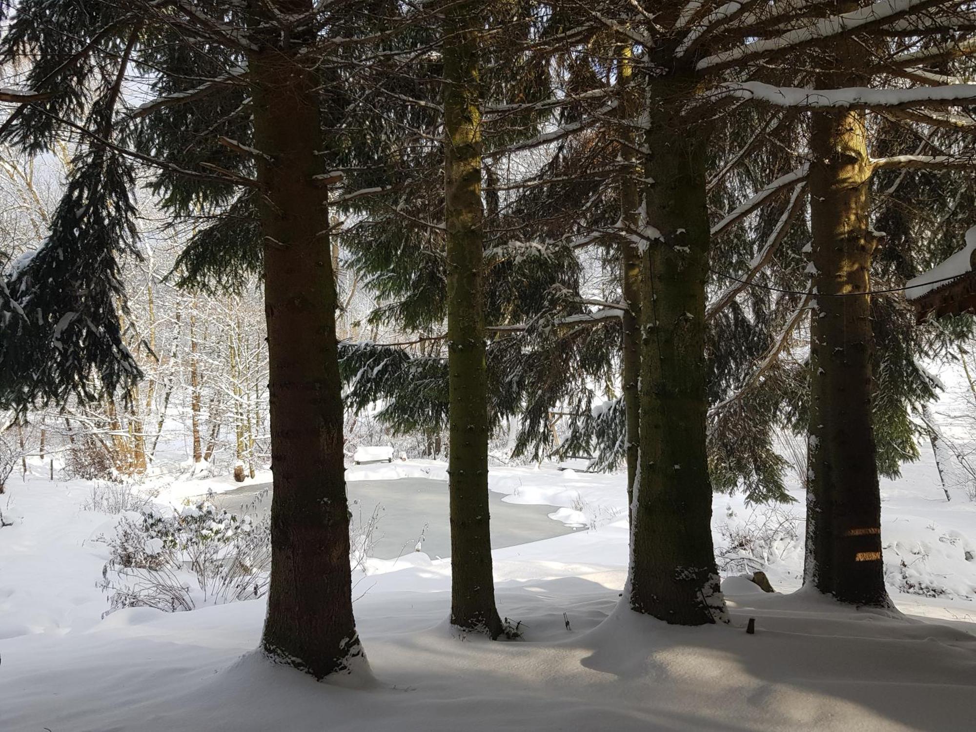 Na Piotrowickiej Przeleczy Villa Bystrzyca Kłodzka Dış mekan fotoğraf