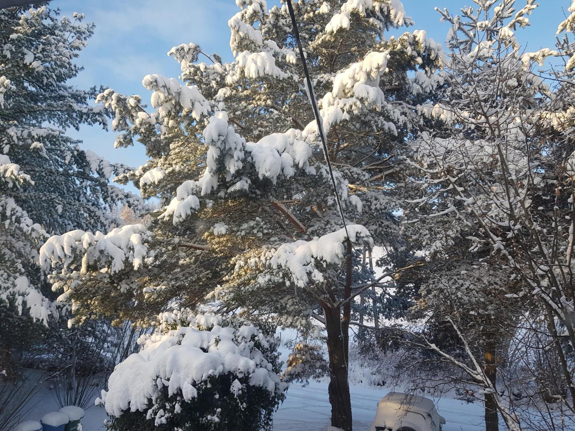 Na Piotrowickiej Przeleczy Villa Bystrzyca Kłodzka Dış mekan fotoğraf